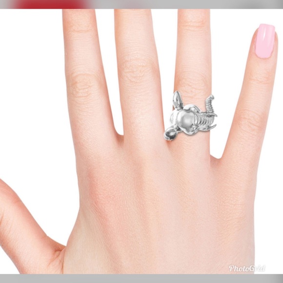 Elephant Head Ring in Stainless Steel - Picture 3 of 4